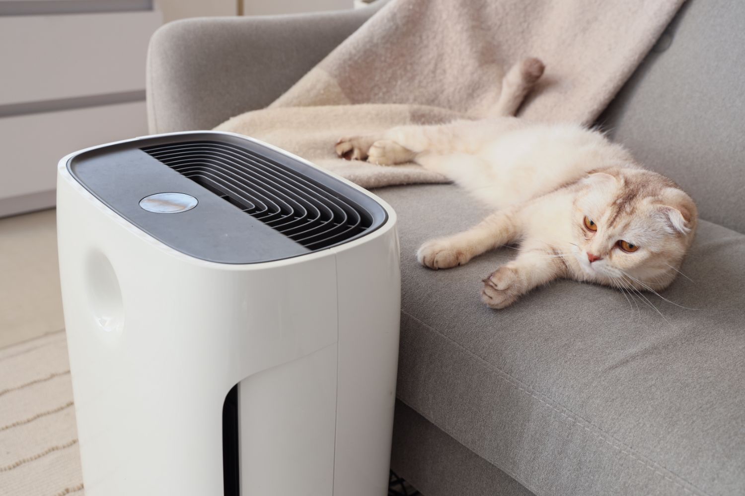 air purifier